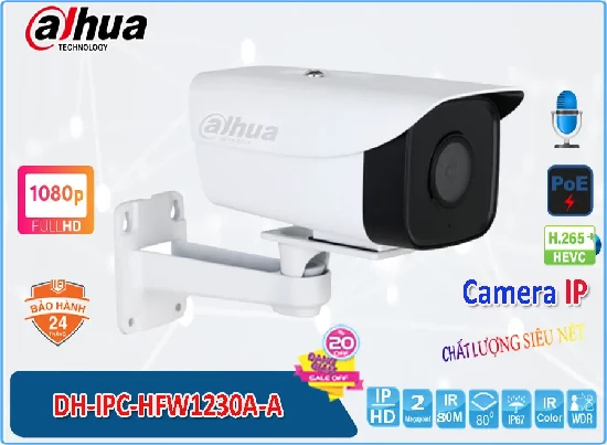 Lắp đặt camera Camera Giá Rẻ Dahua DH-IPC-HFW1230A-A Giá rẻ