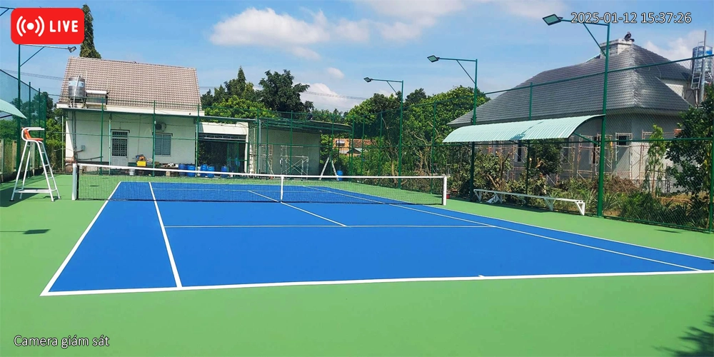 Camera Livestream Check Var Pickleball