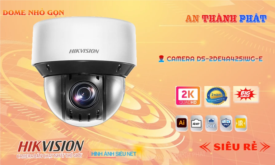 DS-2DE4A225IW-DE Camera Hikvision