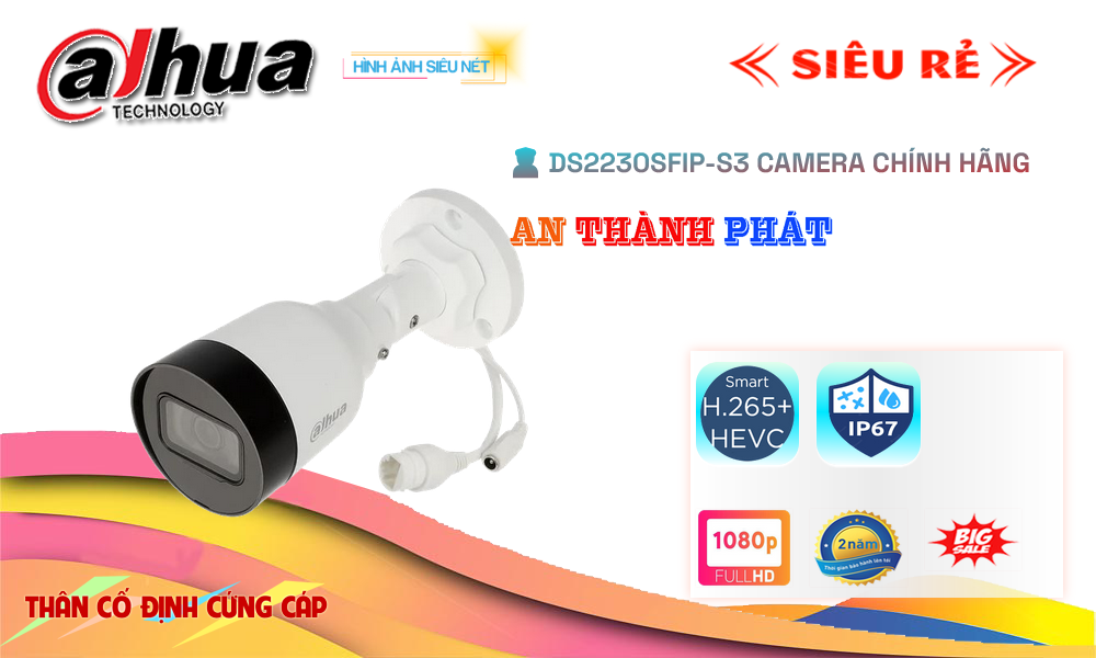 Camera IP Dahua DS2230SFIP-S3 2.0MP