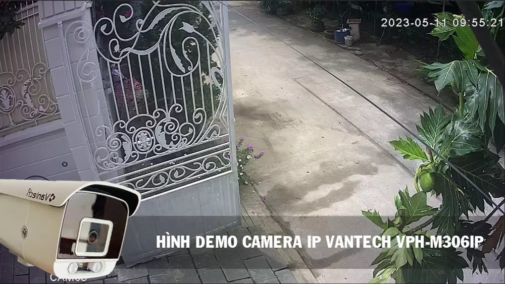 hình ảnh demo camera Ip vantech VPH-M306IP